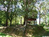 Área de Acampar y Recreación de Guavate - CAYEY